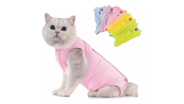 Postoperatoria Algodón Faja Para Pequeño Mediano Perro Gato