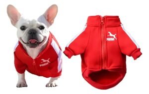 Ropa Para Perro Chaqueta De Béisbol Chaleco Suéter Mascotas