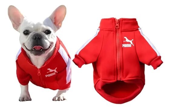 Ropa Para Perro Chaqueta De Béisbol Chaleco Suéter Mascotas
